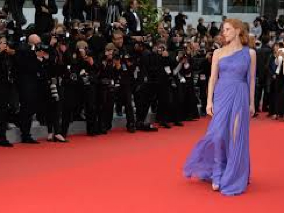 Festival de cannes 2015